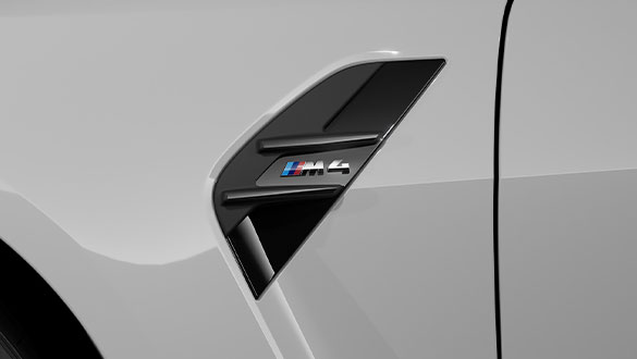 Skrzela M.